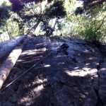 20111231-134919.jpg