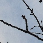 20120209-234626.jpg