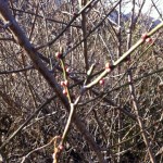 20120211-200308.jpg