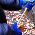20120305-211806.jpg