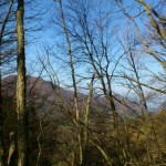 DSC_0003.JPG image