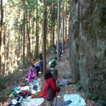 DSC_0010.JPG image