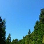 DSC_0003.JPG image