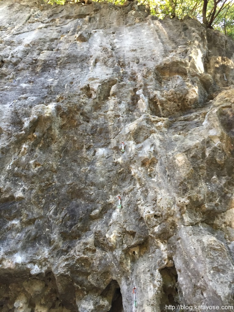 コウモリ岩